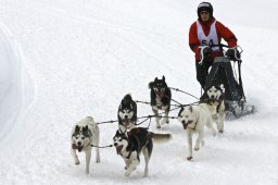 Kandersteg 2009 EM