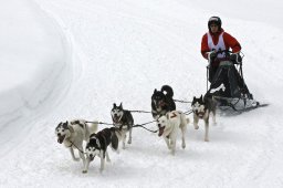 Kandersteg 2009 EM