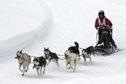 Kandersteg 2009 EM