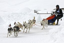 Kandersteg 2009 EM