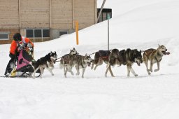 Kandersteg 2009 EM