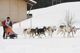 Kandersteg 2009 EM