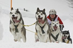 Kandersteg 2009 EM
