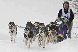Kandersteg 2009 EM