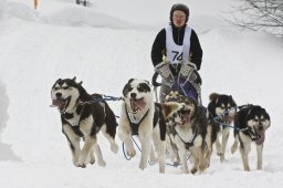 Kandersteg 2009 EM