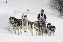 Kandersteg 2009 EM
