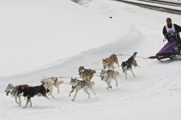 Kandersteg 2009 EM
