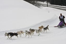 Kandersteg 2009 EM