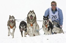 Kandersteg 2009 EM