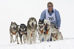 Kandersteg 2009 EM