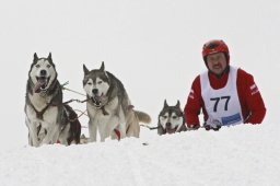 Kandersteg 2009 EM