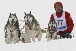 Kandersteg 2009 EM