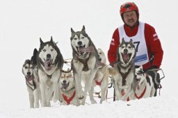 Kandersteg 2009 EM