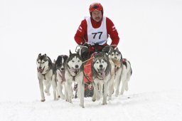 Kandersteg 2009 EM