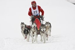 Kandersteg 2009 EM