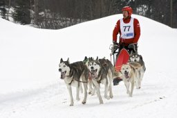 Kandersteg 2009 EM