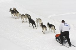 Kandersteg 2009 EM