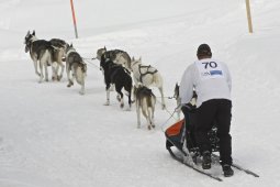 Kandersteg 2009 EM