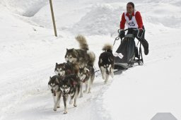 Kandersteg 2009 EM