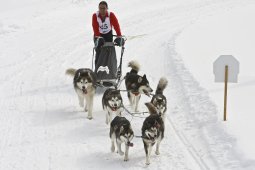 Kandersteg 2009 EM