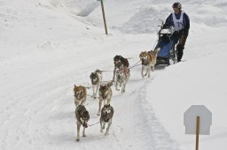 Kandersteg 2009 EM