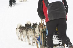 Kandersteg 2009 EM
