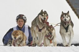 Kandersteg 2009 EM