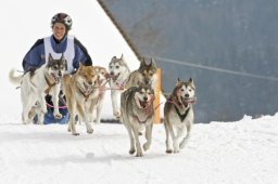 Kandersteg 2009 EM