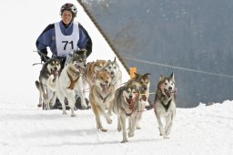 Kandersteg 2009 EM