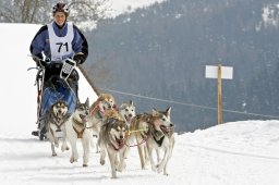 Kandersteg 2009 EM