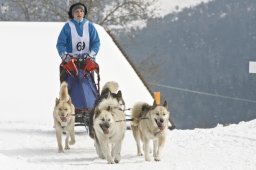Kandersteg 2009 EM