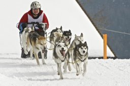 Kandersteg 2009 EM