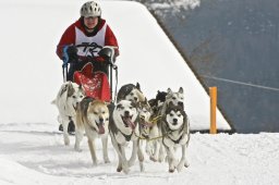 Kandersteg 2009 EM