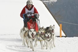 Kandersteg 2009 EM