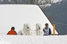 Kandersteg 2009 EM