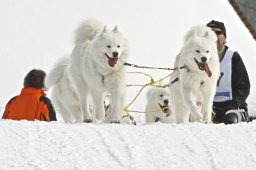 Kandersteg 2009 EM