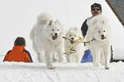 Kandersteg 2009 EM