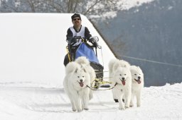 Kandersteg 2009 EM