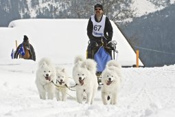 Kandersteg 2009 EM