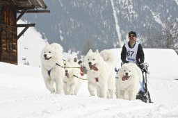 Kandersteg 2009 EM