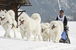 Kandersteg 2009 EM
