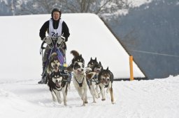 Kandersteg 2009 EM