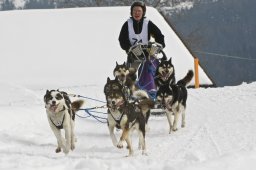 Kandersteg 2009 EM