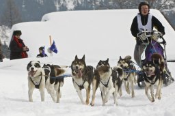 Kandersteg 2009 EM