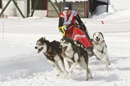 Kandersteg 2009 EM