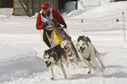 Kandersteg 2009 EM
