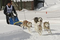 Kandersteg 2009 EM