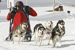 Kandersteg 2009 EM