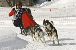 Kandersteg 2009 EM