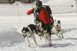 Kandersteg 2009 EM